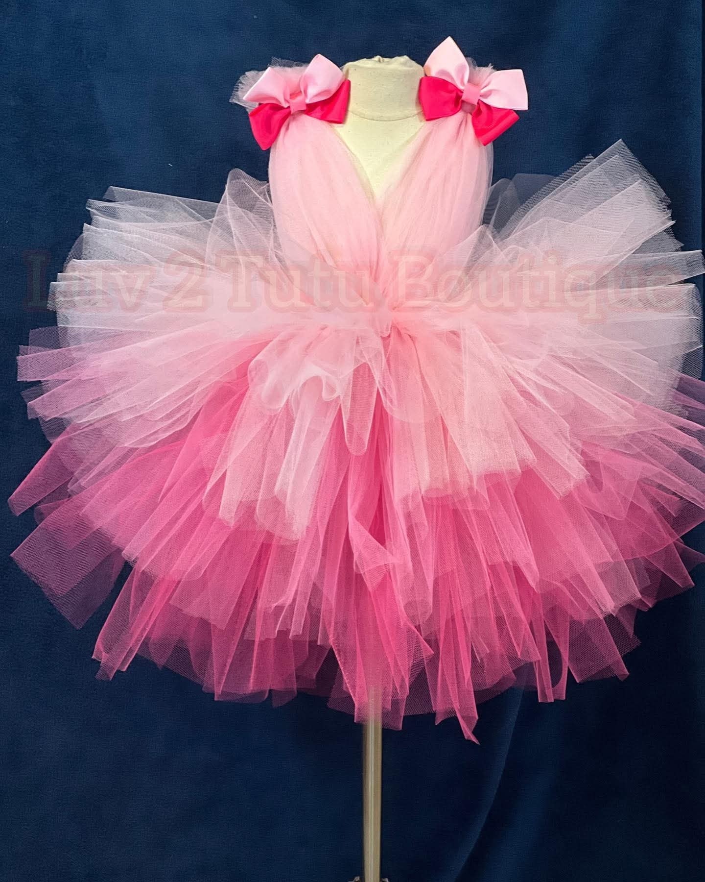 Pink Ombre Tutu Dress
