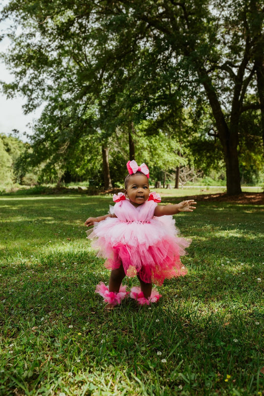 Pink Ombre Tutu Dress